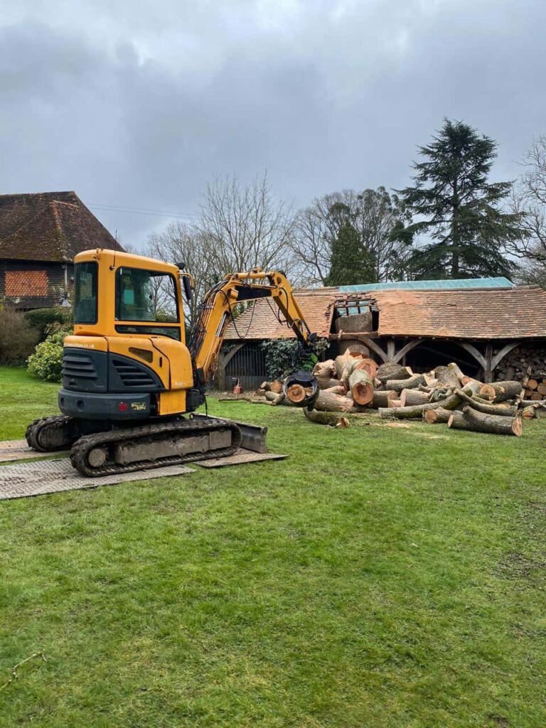 This is a photo of a tree which has grown through the roof of a barn that is being cut down and removed. There is a digger that is removing sections of the tree as well. Long Buckby Tree Surgeons