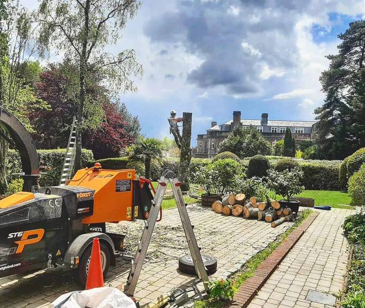 This is a photo of a tree being felled. A tree surgeon is currently removing the last section, the logs are stacked in a pile. Long Buckby Tree Surgeons