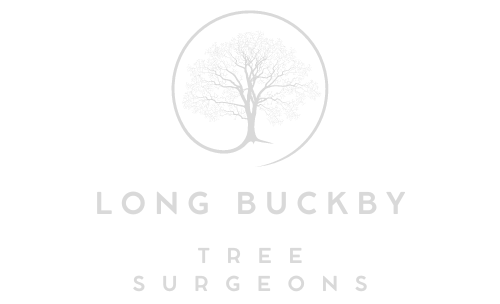 Long Buckby Tree Surgeons